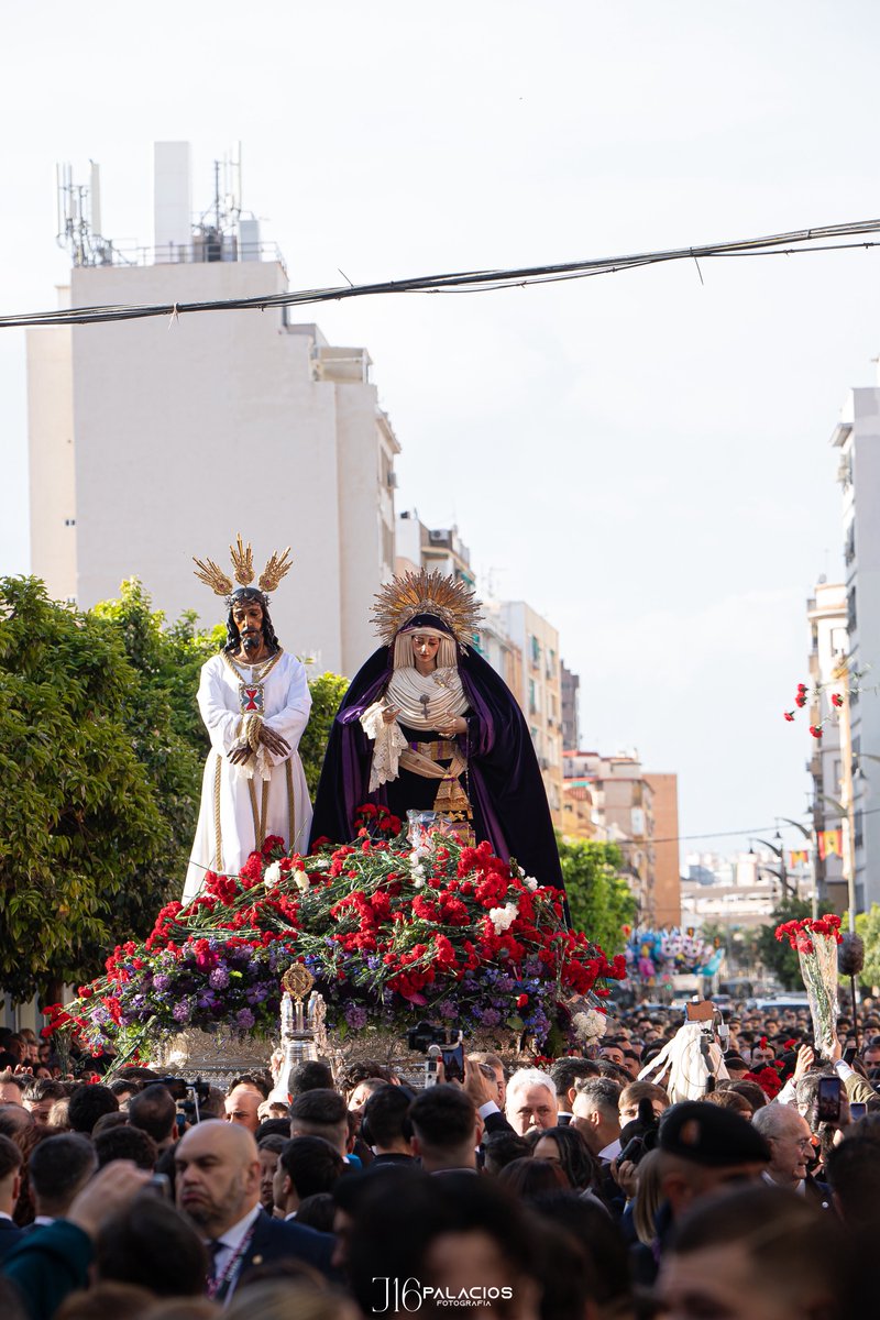 J16Palacios tweet media