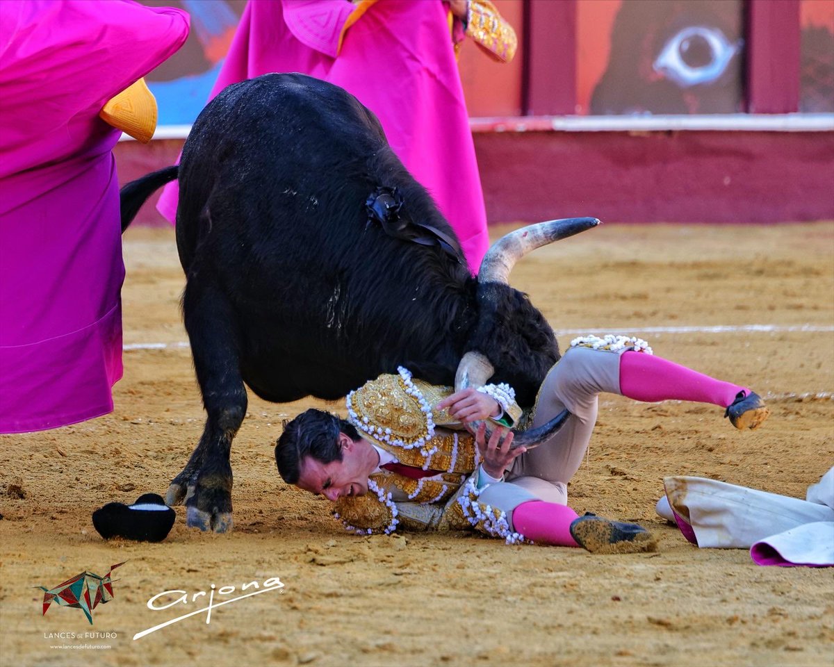 Portal Taurino tweet media