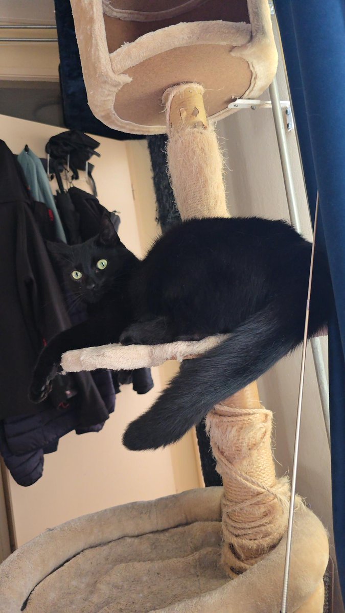 Jorrit Weijs tweet media