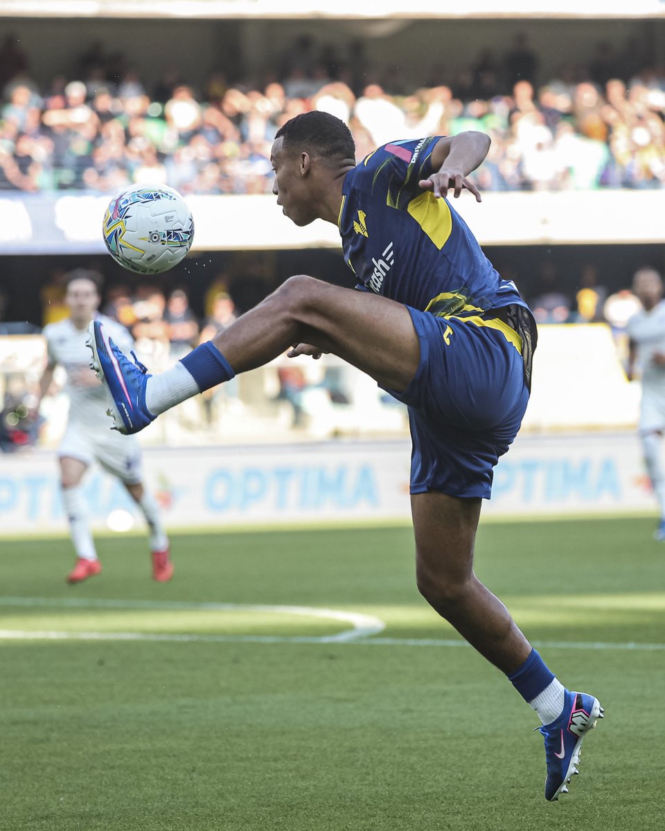 Hellas Verona FC tweet media