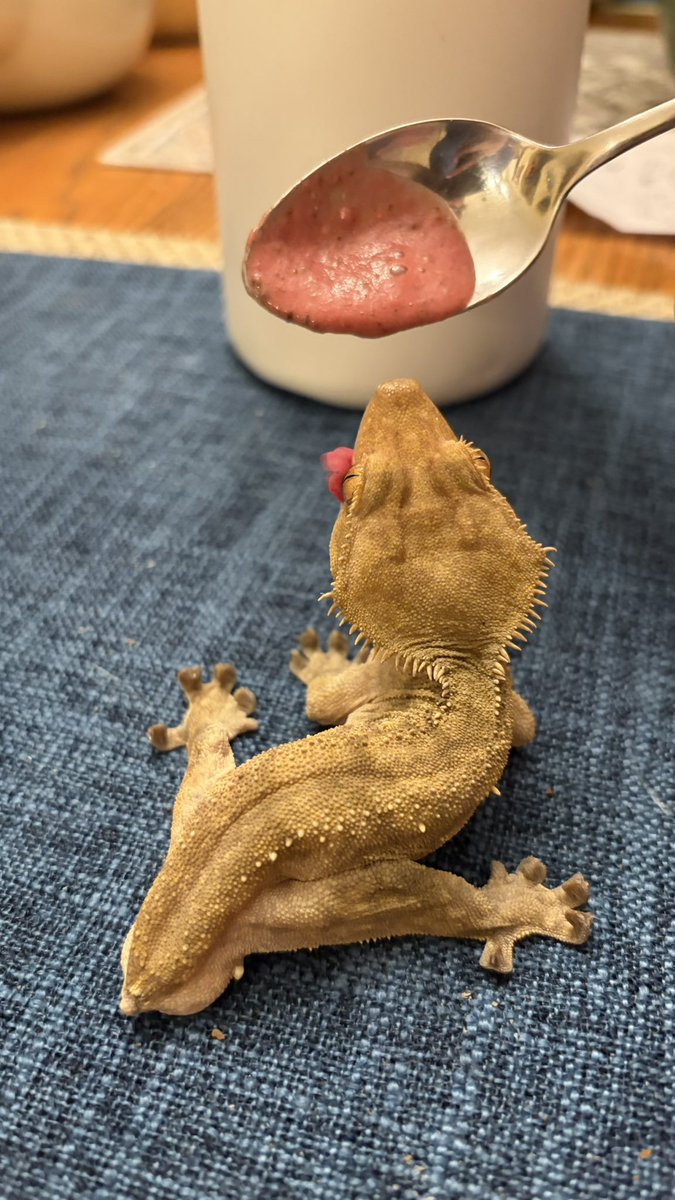 FathomFangs tweet media