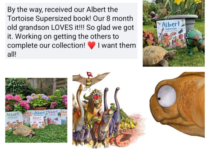 ALBERT the tortoise® tweet media