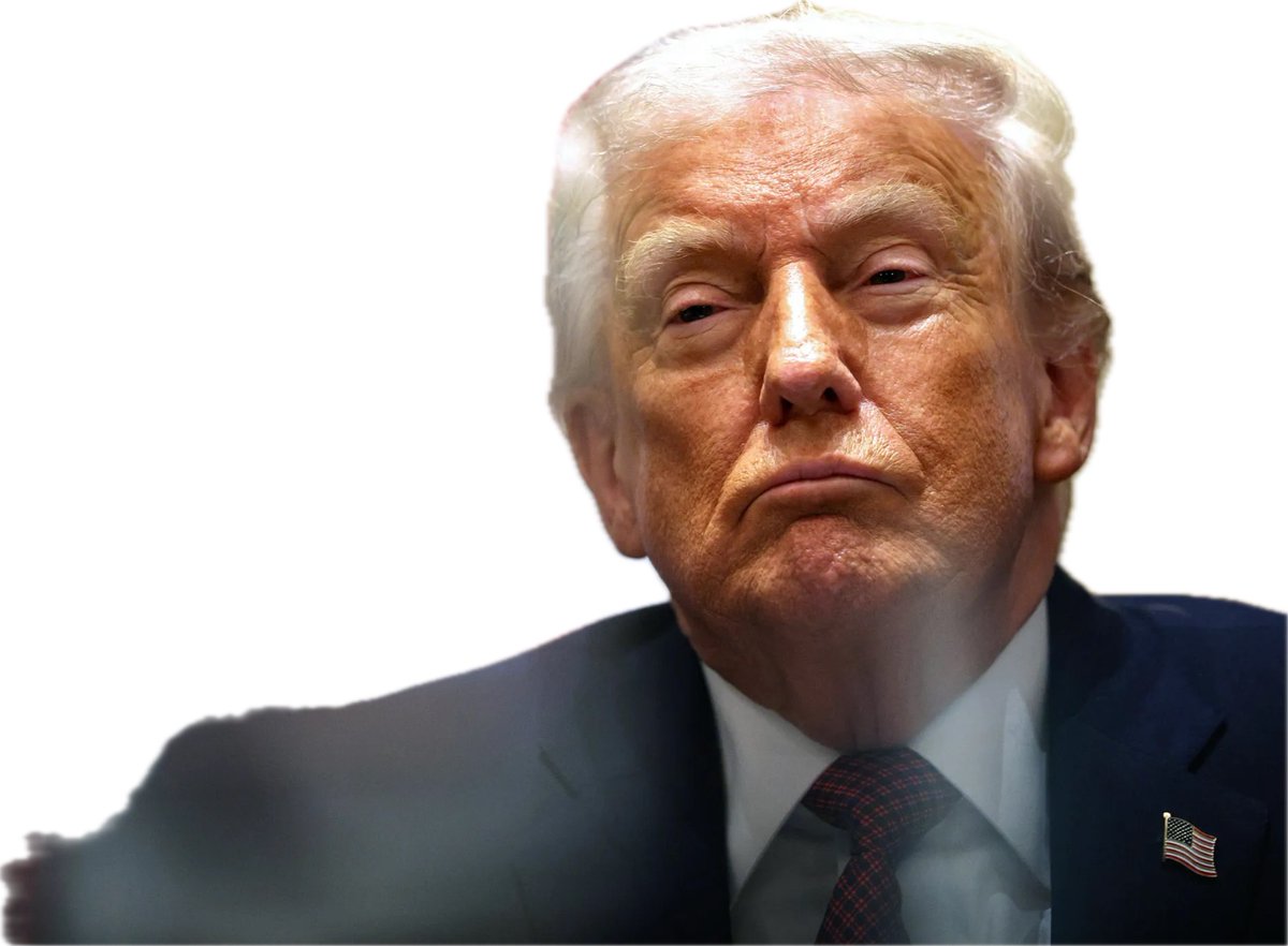 HG Tomato 🍅 tweet media