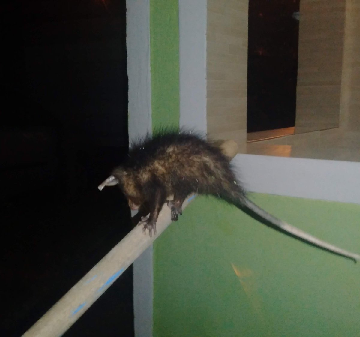 Luigi_da_Deepweb tweet media