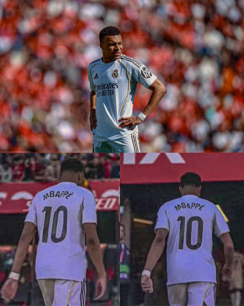 𝗠𝗼𝗵𝗮𝗺𝗺𝗮𝗱 𝗛𝗲𝗹𝗺𝗶 𝗥𝗮𝘀𝗵𝗲𝗱 tweet media