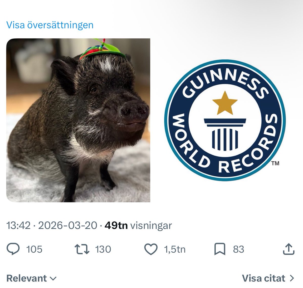 blackwhale_love's tweet photo. From meme to moon 🐷🚀
The pig everyone’s talking about—powered by community, built on hype, and ready to take over crypto.
Oink your way to the moon.”
#Merlinthepig #Tothemoon #Solana @elonmusk @Pumpfun @PumpfunEco https://t.co/LbWqDuzaG3
