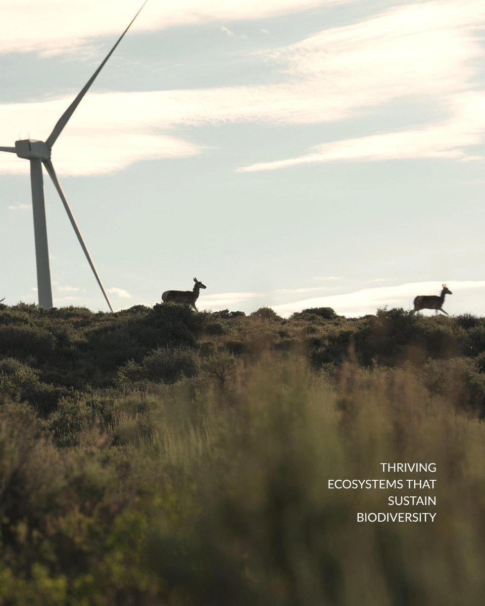 Public Lands Council tweet media