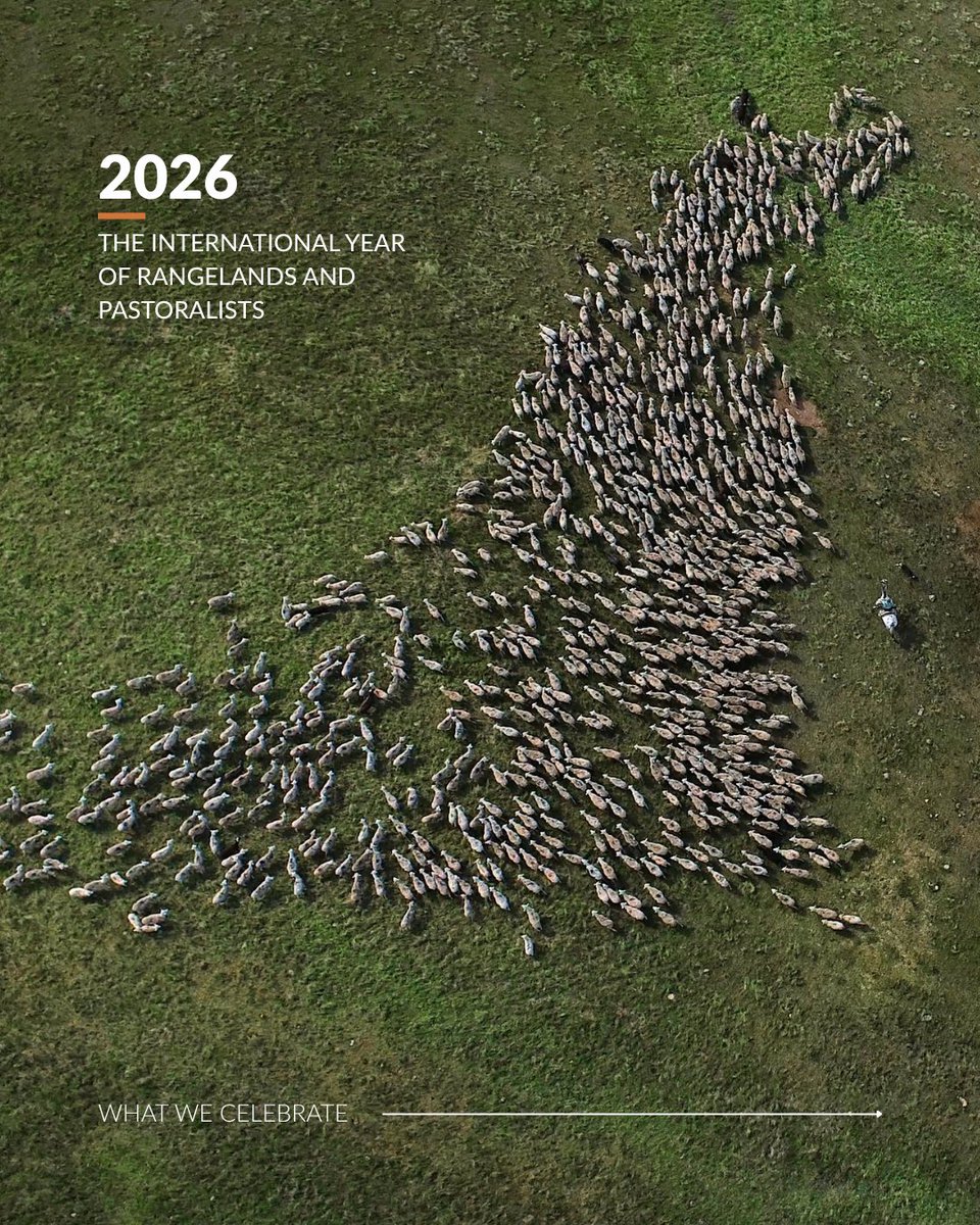 Public Lands Council tweet media