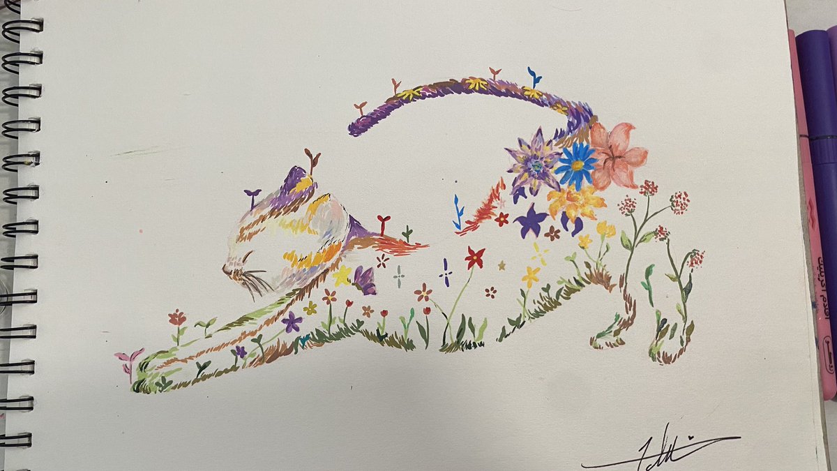 Chilli✩ tweet media