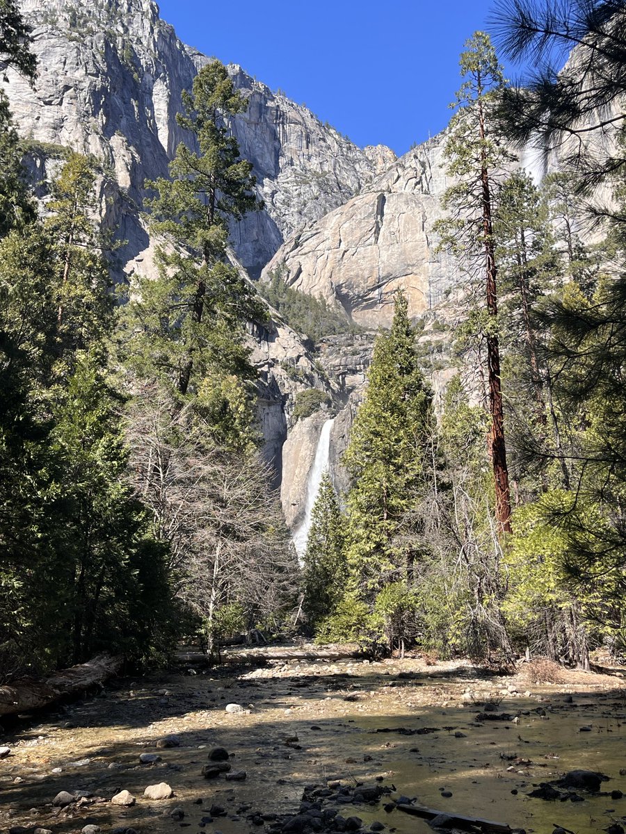 Alyfornia 🌲🍅🌲 tweet media