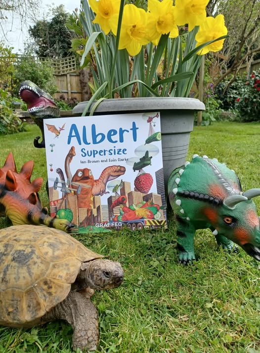 ALBERT the tortoise® tweet media