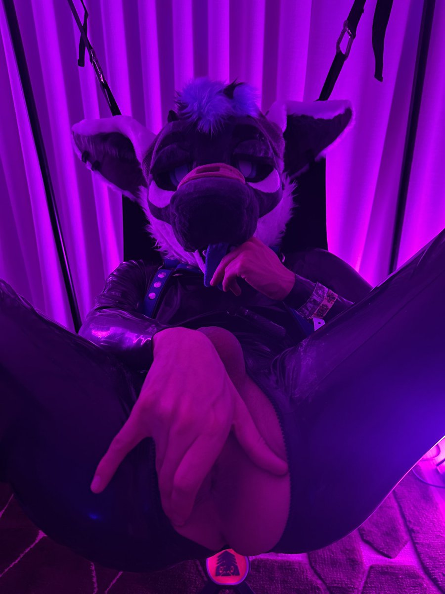 Sharktailup tweet media