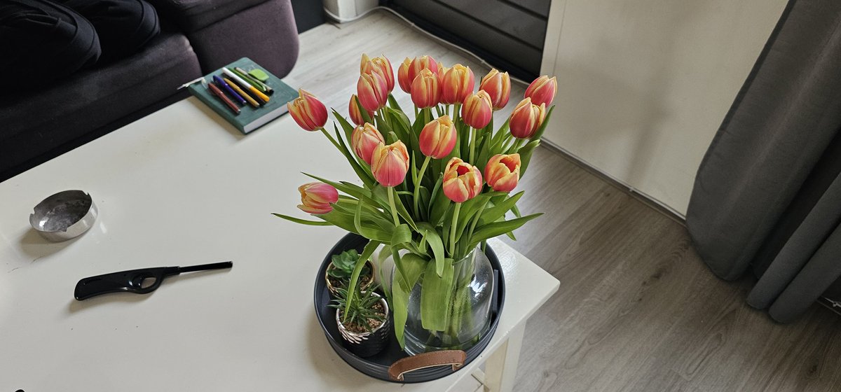 EddieKlunder's tweet image. Mijn vrouw heeft tulpen gehaald. Wel mooie kleuren, al zeg ik het zelf.. ❤️💛❤️💛❤️💛
#GAEpec #ijsselderby #handhaving #35punten