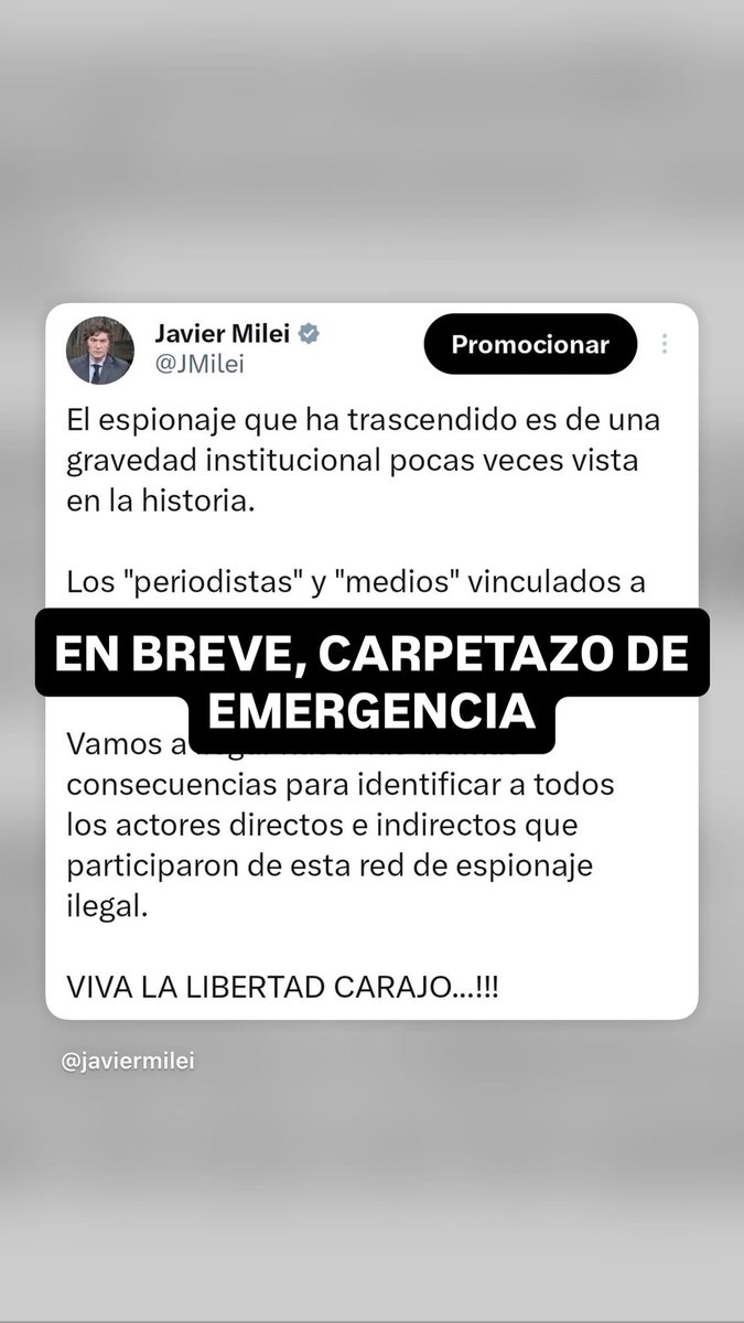 m a r i l ú tweet media