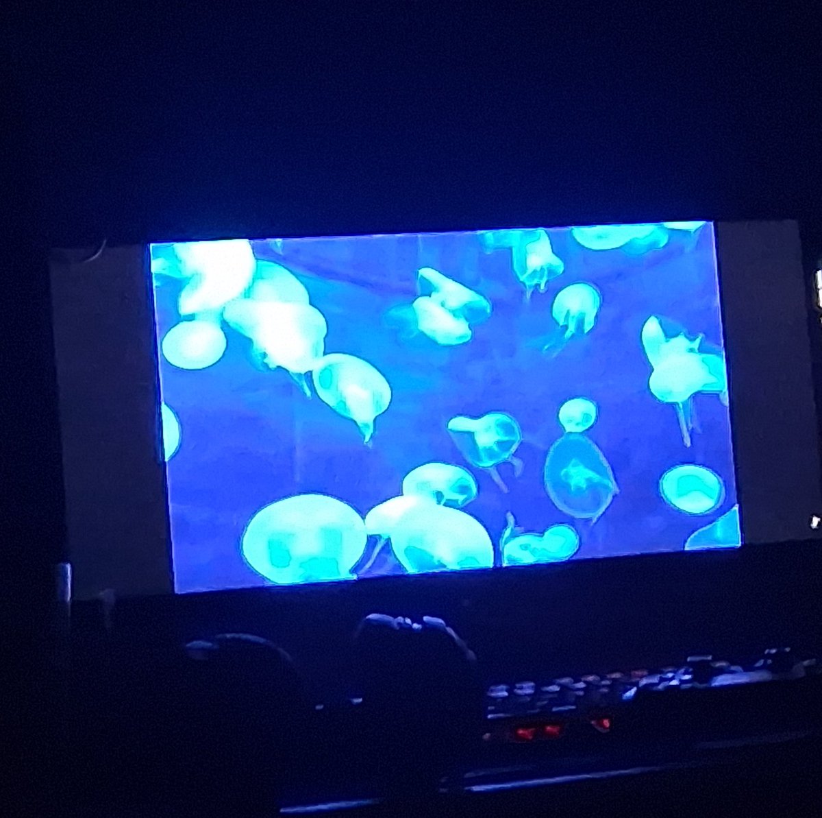 dan^_^el tweet media