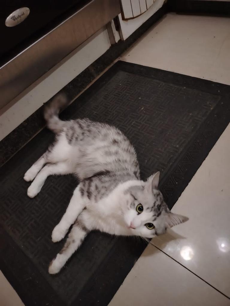 GRACE🇻🇪🆓 tweet media