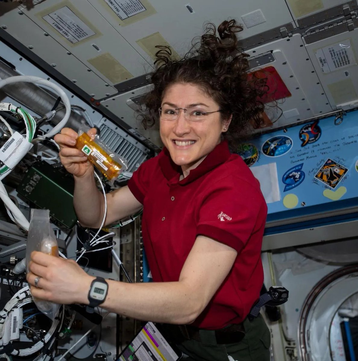 TheNancyRoc's tweet photo. 🚨 HISTORIQUE : L’astronaute Christina Koch, à bord de la mission Artemis II, devient officiellement la femme ayant voyagé le plus loin de la Terre. https://t.co/SG20cCy1fa