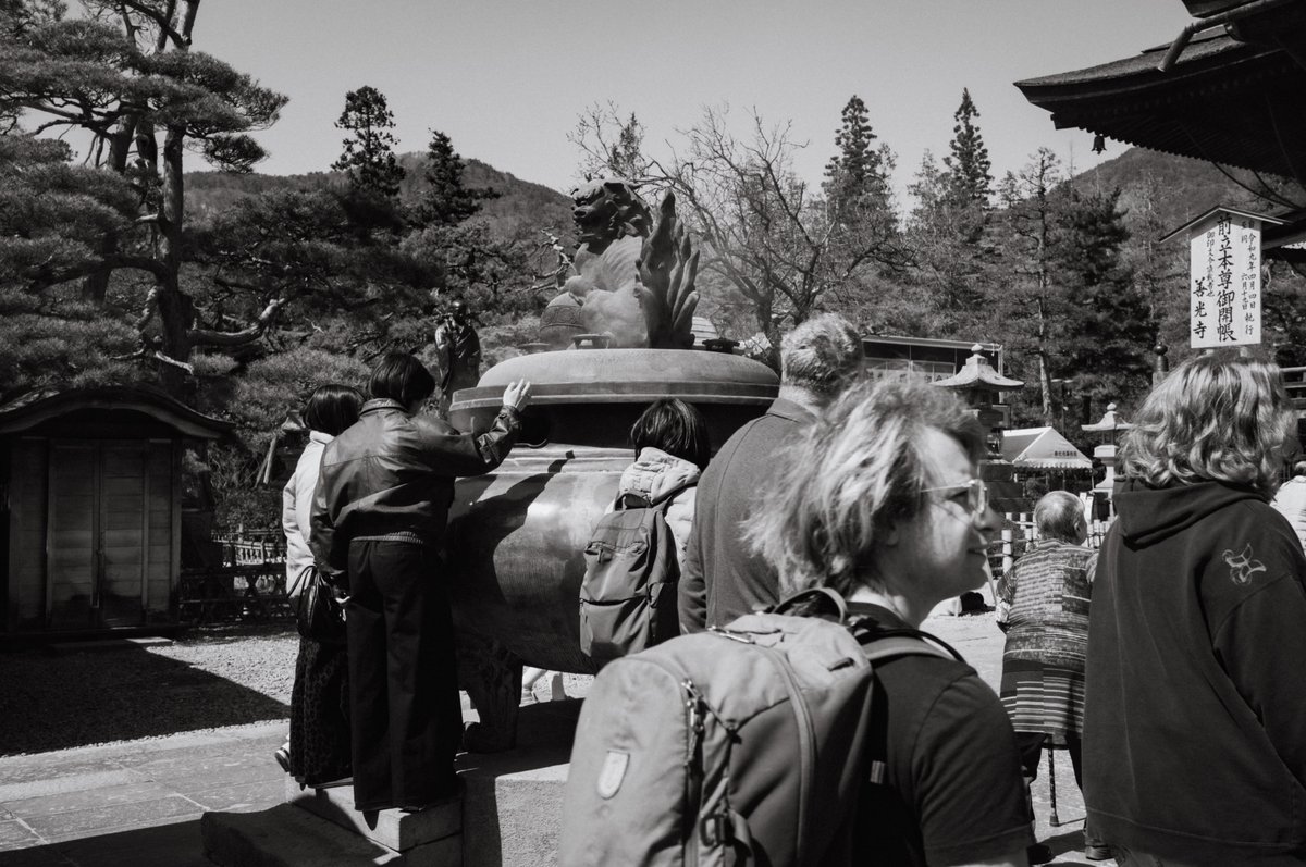 LumRose(通称らむ) tweet media