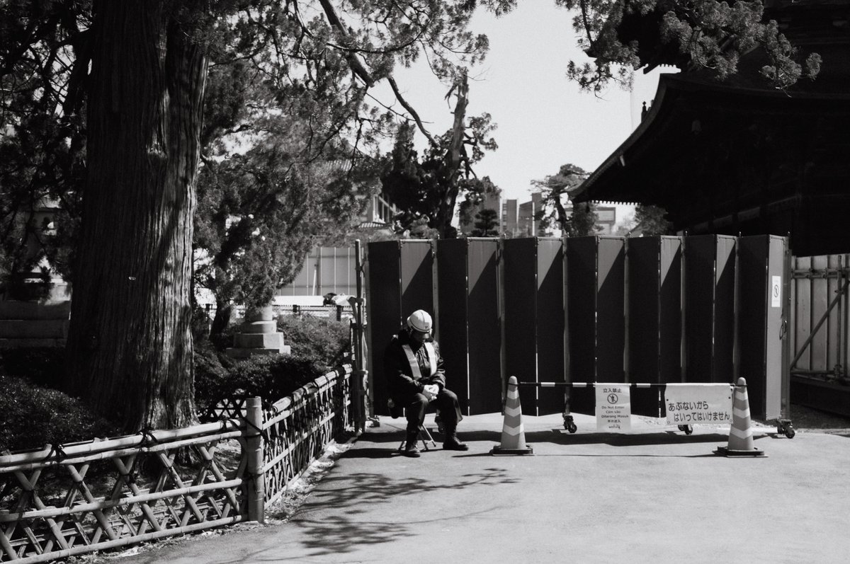 LumRose(通称らむ) tweet media