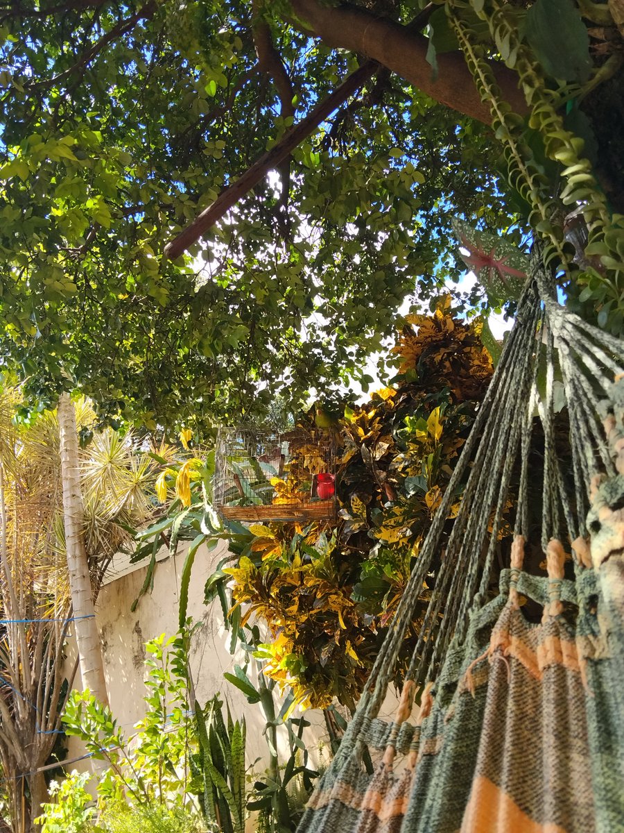 कृष्णानन्द रविश tweet media