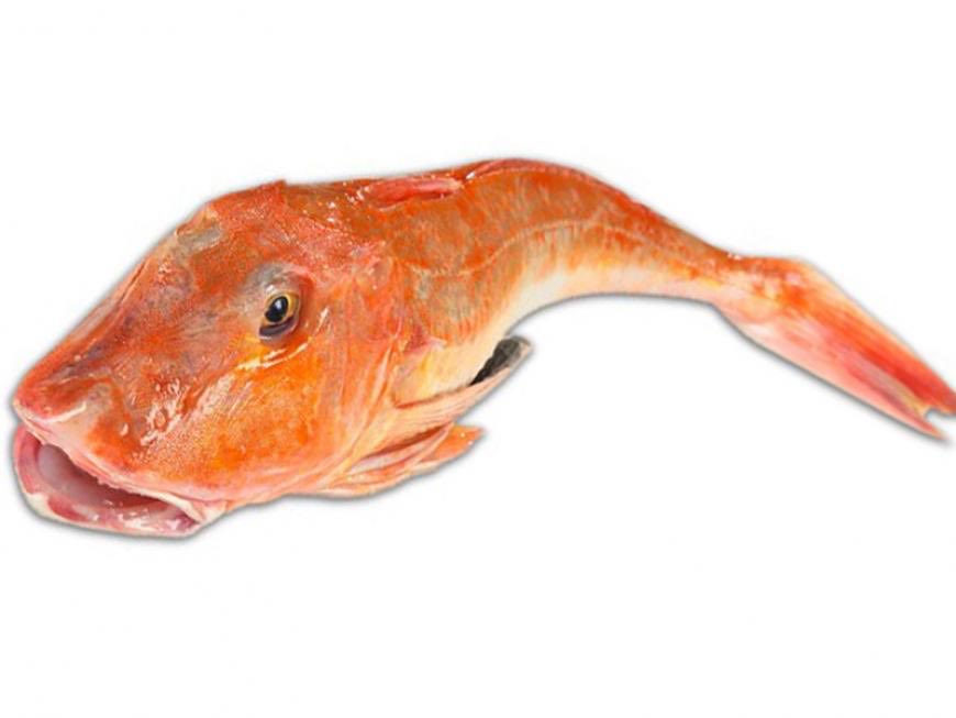 EricArthurBlair tweet media