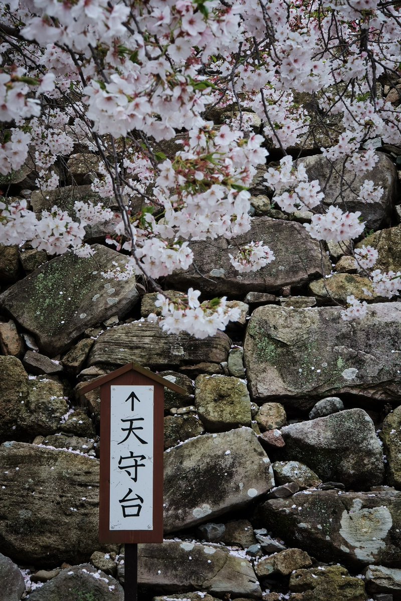 麦辣鸡翅didi tweet media