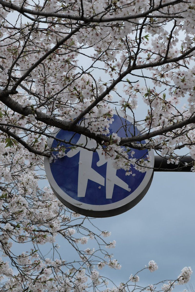 麦辣鸡翅didi tweet media