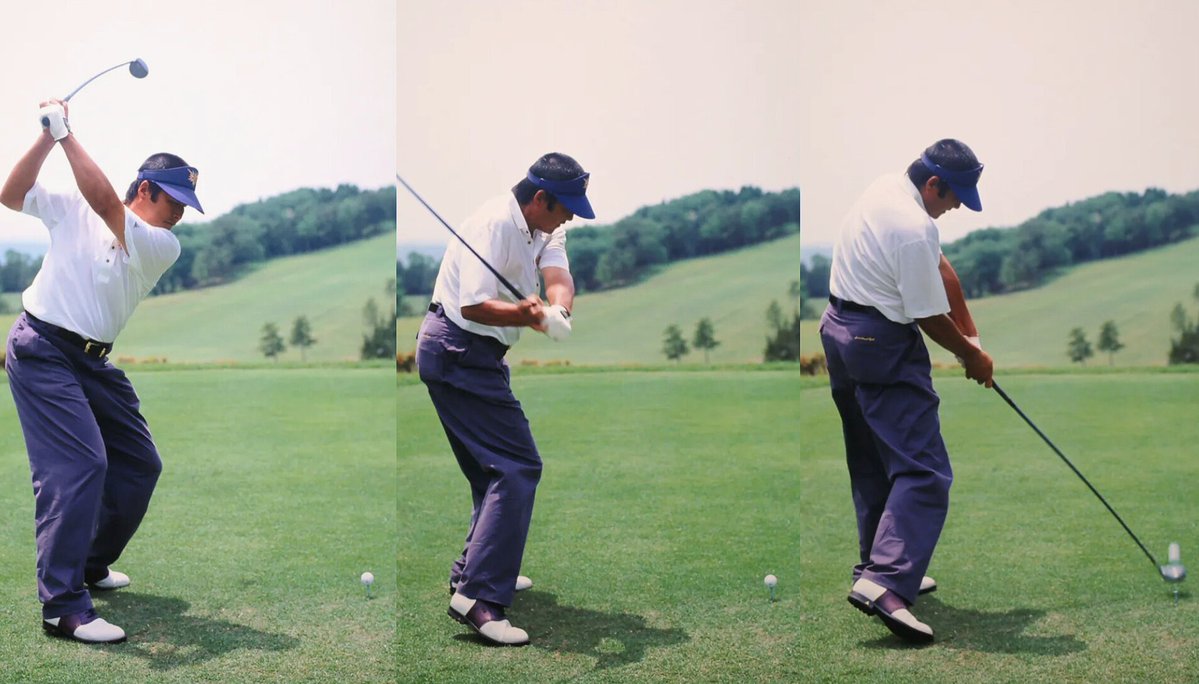 David Poulton tweet media