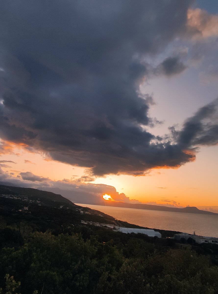 Traveller tweet media