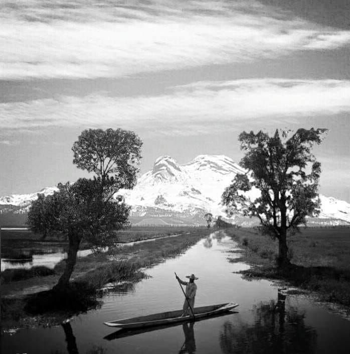 🦻🤟🏼Ellie Villarreal tweet media