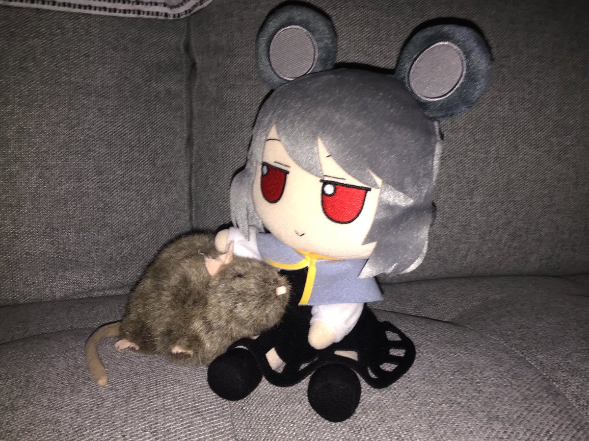 we enjoy sPunday mornings tweet media