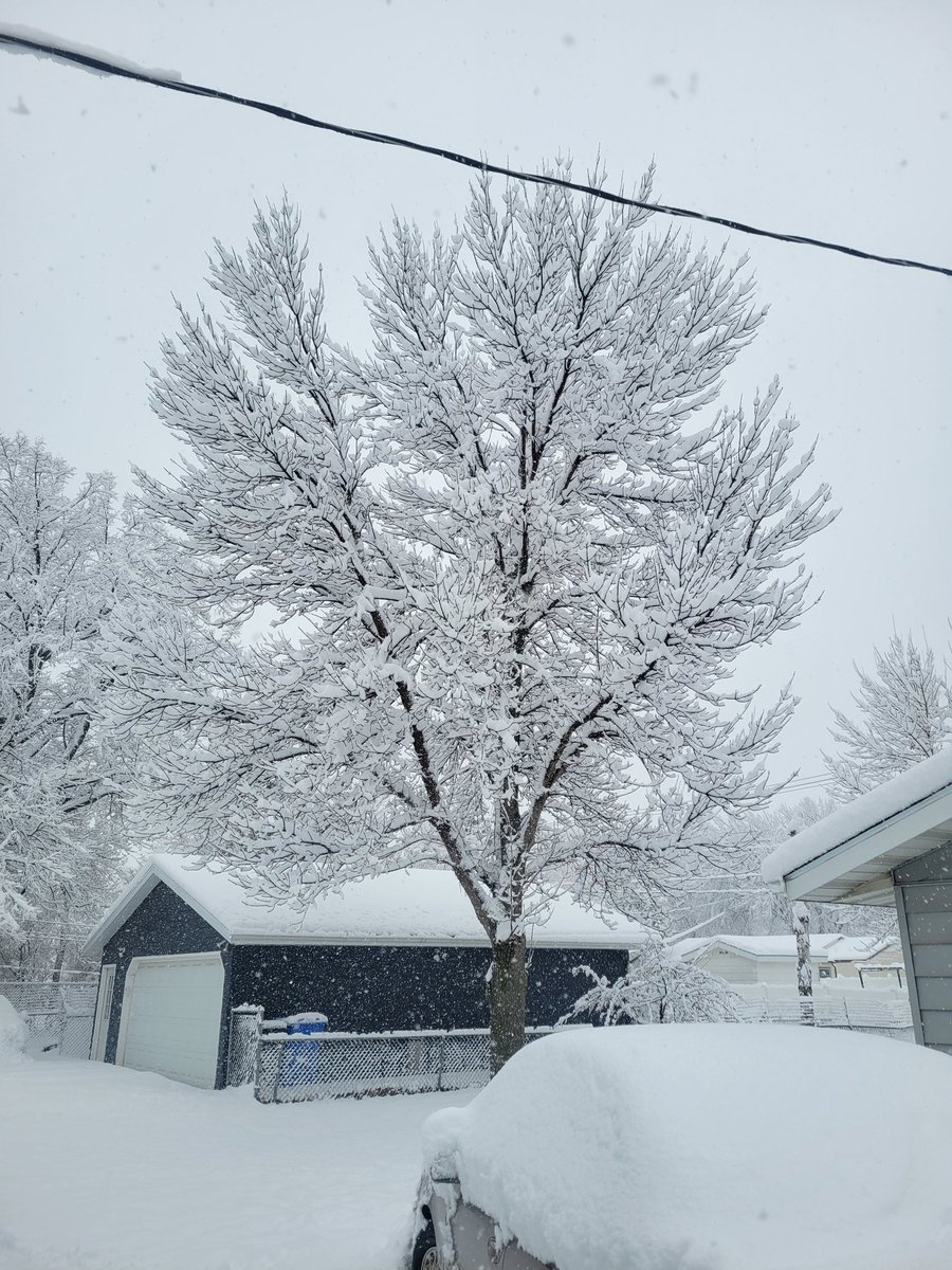 Prowler!🏳️🌈 🐆 tweet media