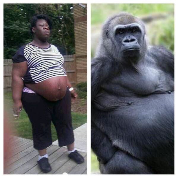 DoctorRommelhhxx tweet media