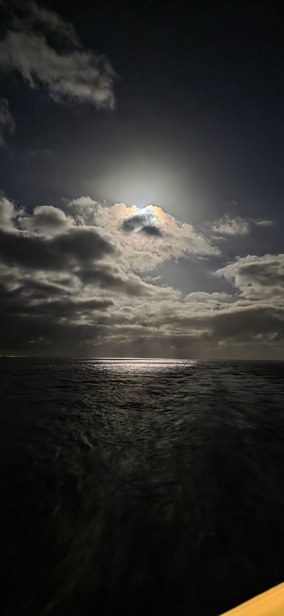 🎨 🖌 Crafty P 🌙📿 tweet media