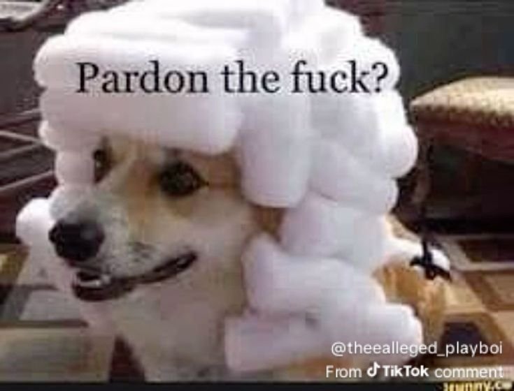 Aka Onye nwete 2026 tweet media