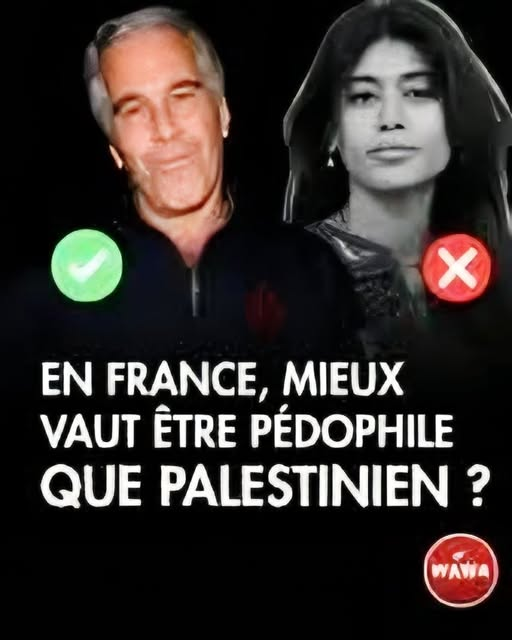 Jacques Renardiere tweet media