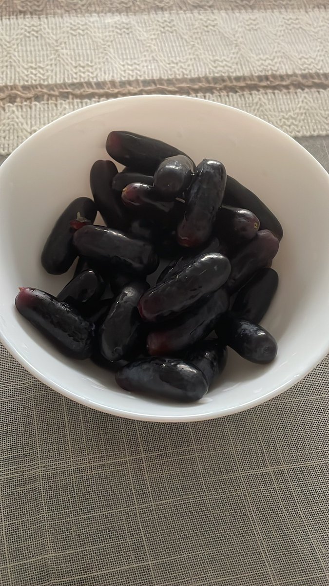 aridโ๏ธ tweet media