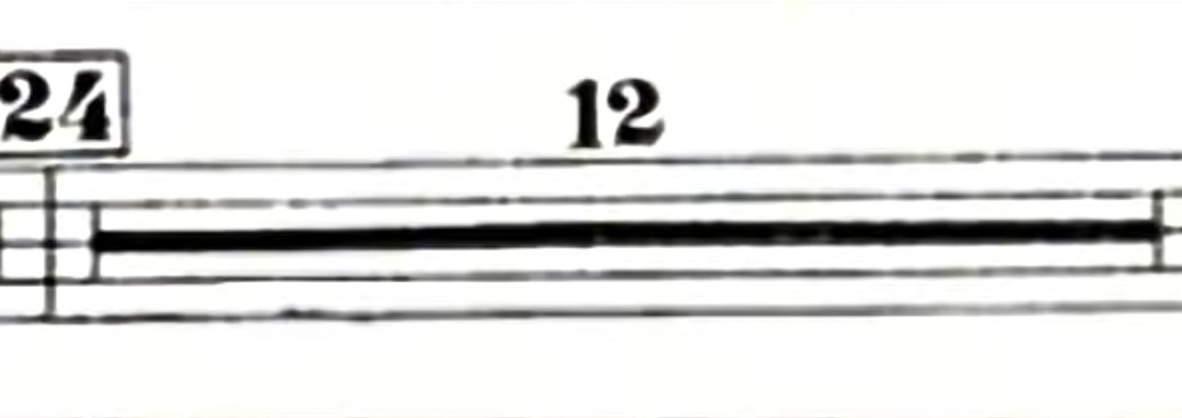 こむぎ tweet media