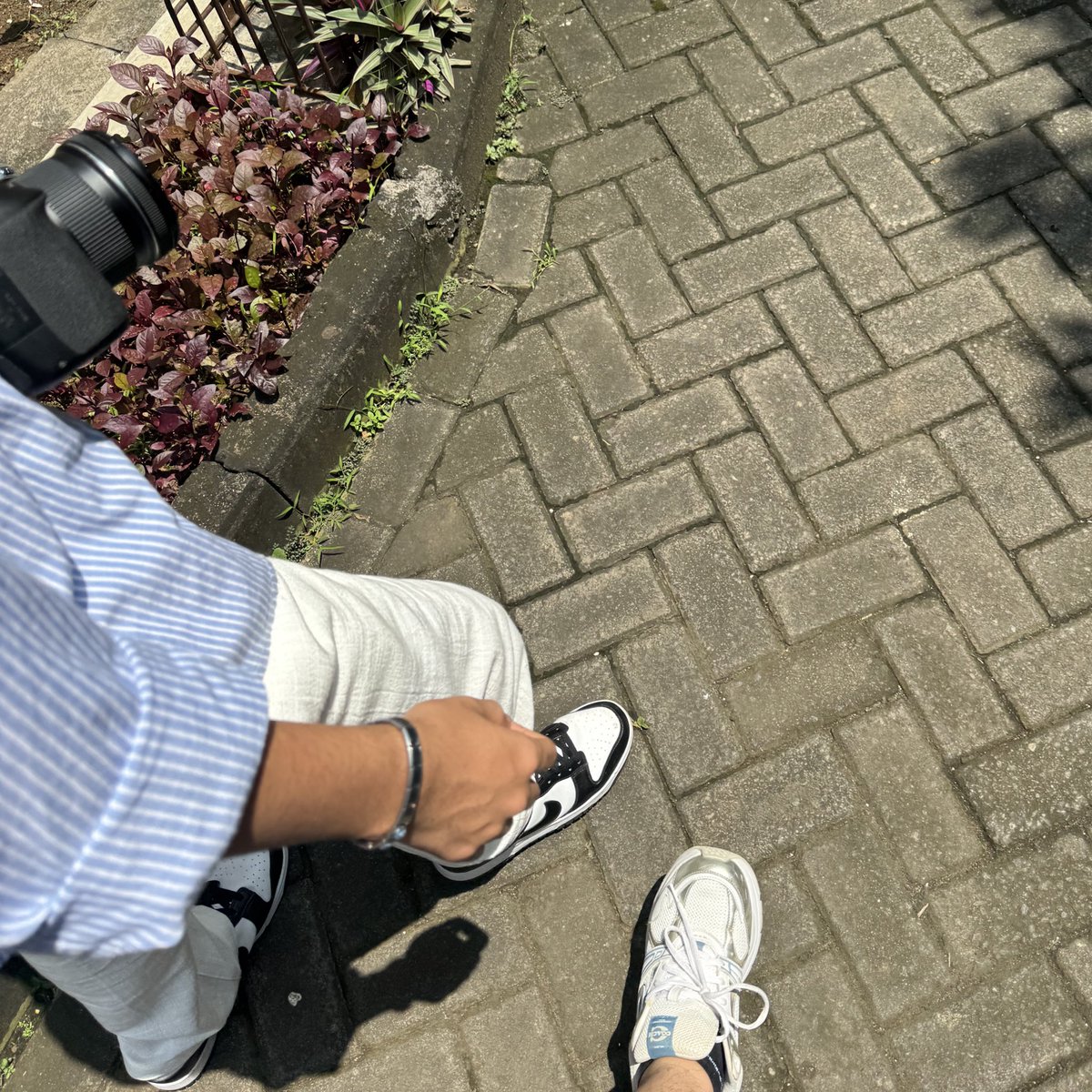 katanyalurus's tweet photo. ketik 1 kalo gemes …… https://t.co/f0DvZzRNAs