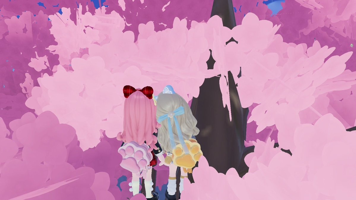 きょこ tweet media