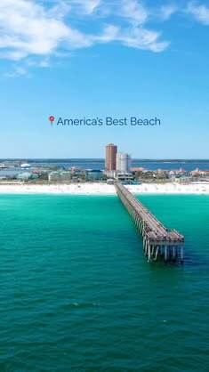 The Beach Life tweet media