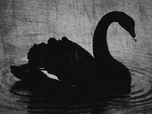 Jakeline Wiliane tweet media