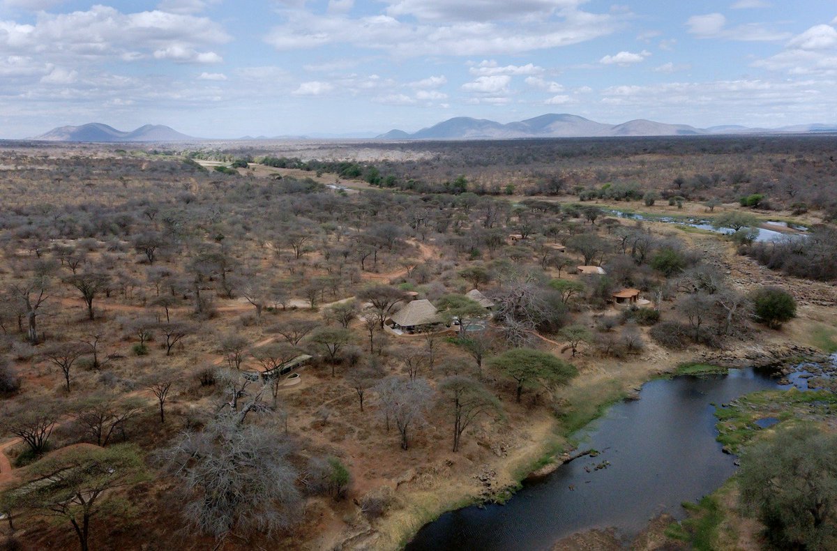 Simon | Content Marketer. tweet media