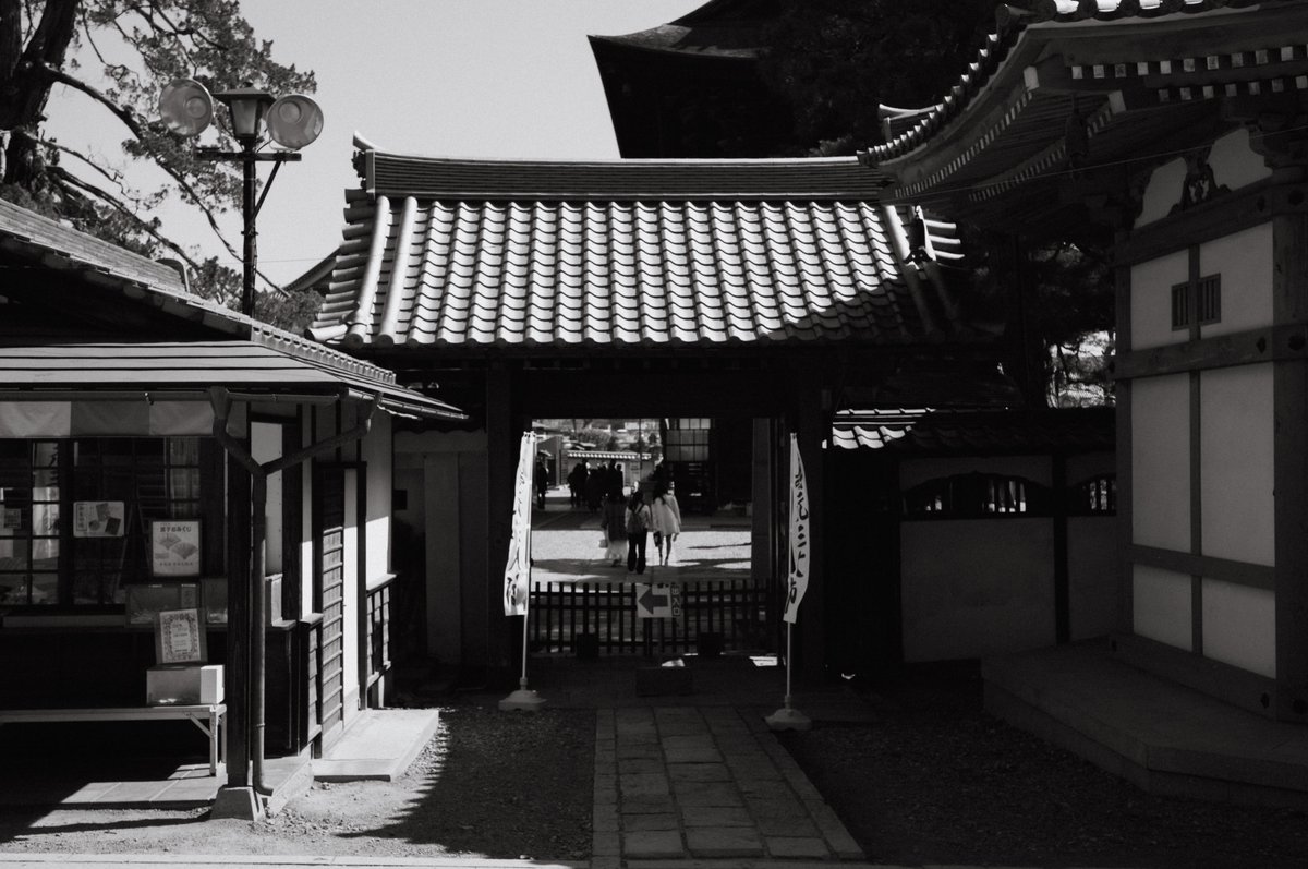 LumRose(通称らむ) tweet media