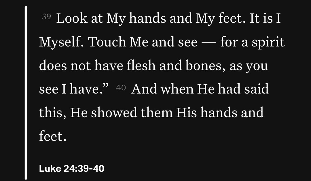 ✝️🌴 tweet media