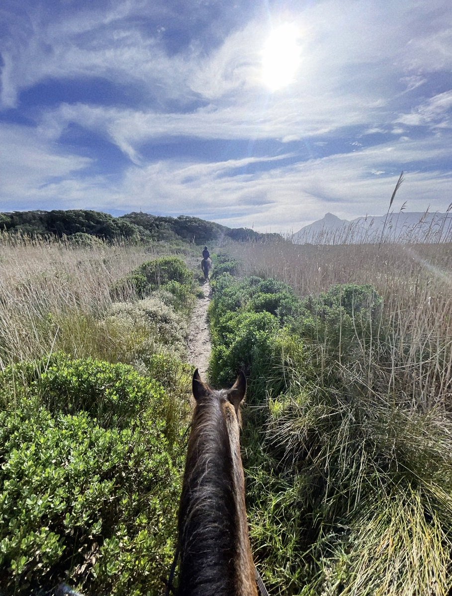 Youngmoney🇸🇦 tweet media