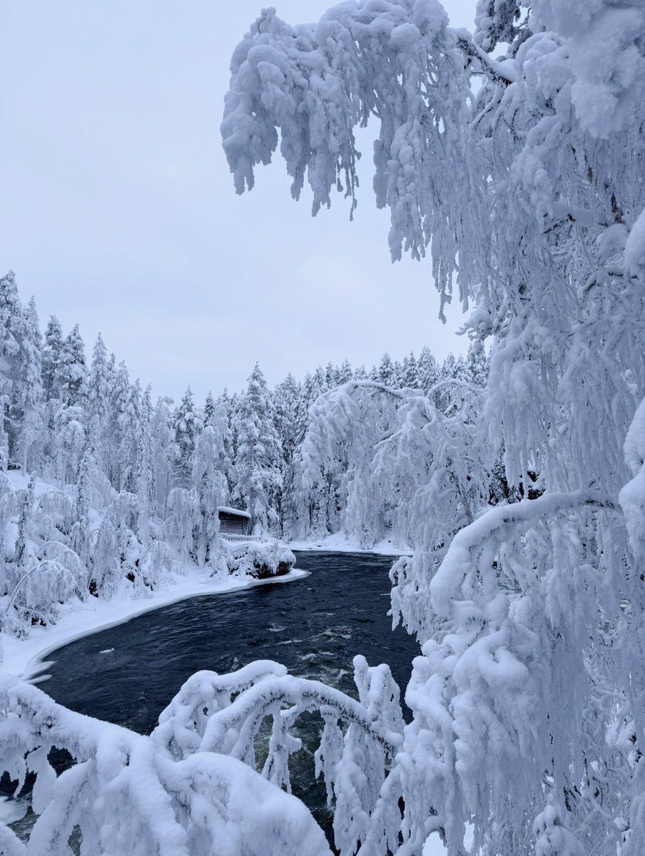 Youngmoney🇸🇦 tweet media