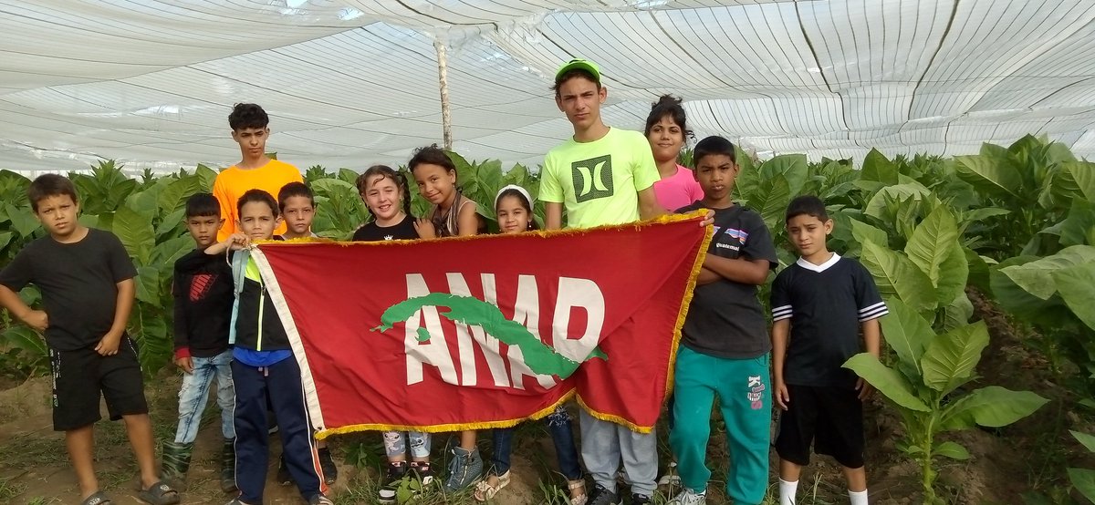 DianelysLB's tweet photo. #AnapVillaClara nuestros jóvenes campesinos en jornada productiva reafirmando #AbajoElBloqueo
#64UJC
#AnapCuba https://t.co/mak9MPOIad