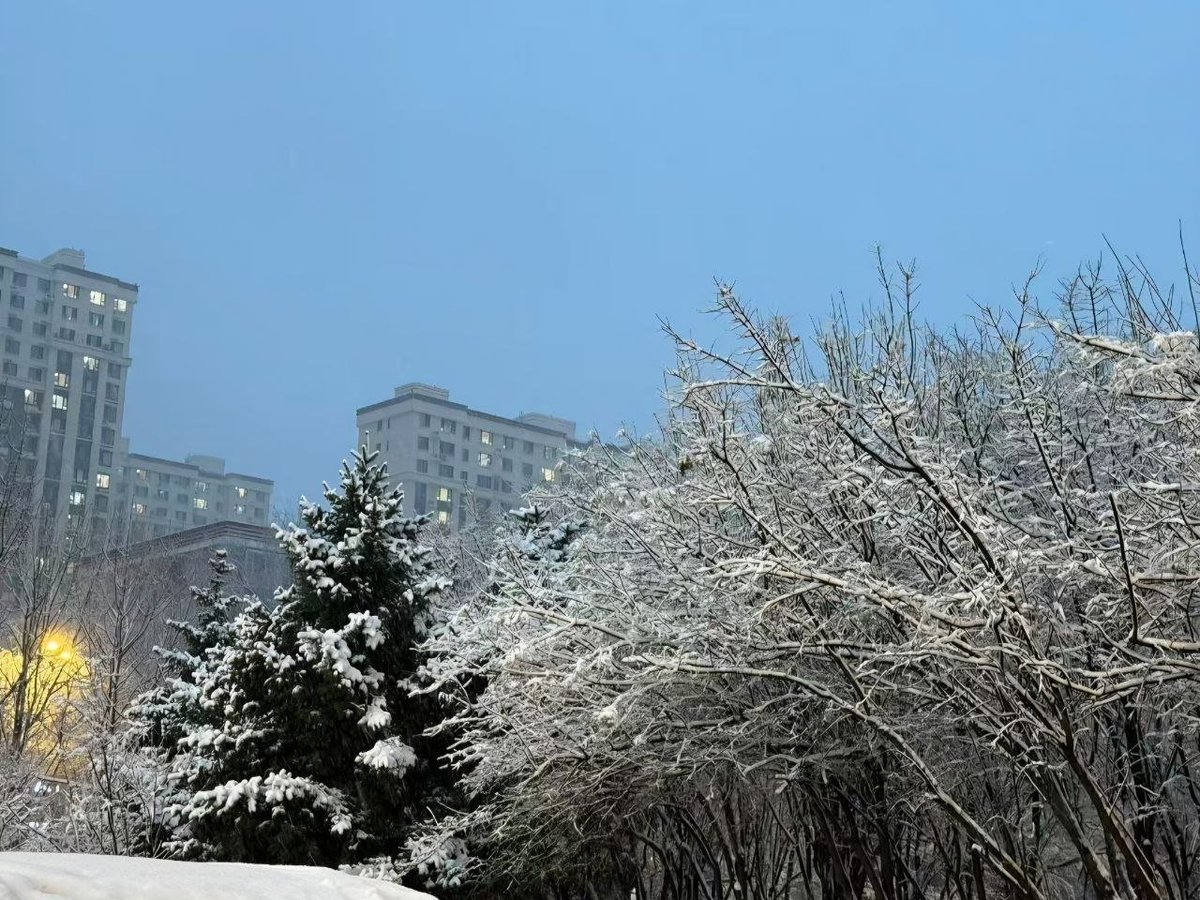 0451椰奶汁 tweet media