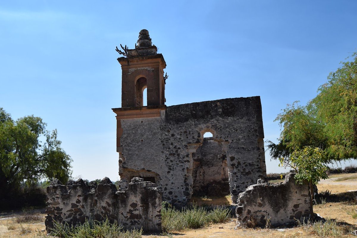 Lex 🌐🗽 tweet media